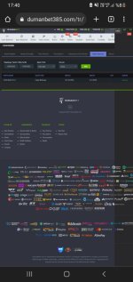 Screenshot_20220612-174001_Chrome.jpg