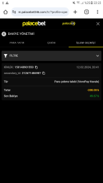 Screenshot_20240212-222238.png
