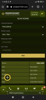 Screenshot_2024-02-14-01-16-01-960_com.android.chrome.jpg