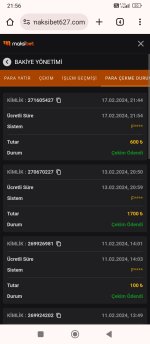 Screenshot_2024-02-17-21-56-02-599_com.android.chrome.jpg