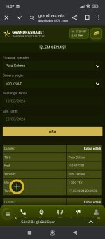 Screenshot_2024-03-20-18-57-40-380_com.android.chrome.jpg