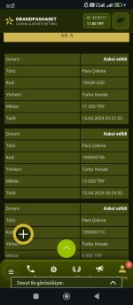 Screenshot_2024-04-13-08-32-47-973_com.android.chrome.jpg