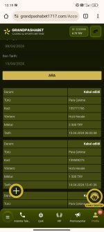 Screenshot_2024-04-15-13-19-06-329_com.android.chrome.jpg