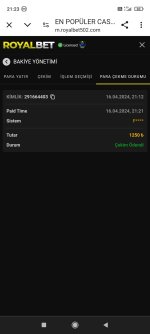 Screenshot_2024-04-16-21-23-01-235_com.android.chrome.jpg
