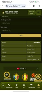 Screenshot_2024-04-18-01-22-54-393_com.android.chrome.jpg