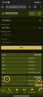 Screenshot_2024-05-08-13-06-50-596_com.android.chrome.jpg