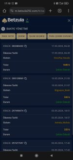 Screenshot_2024-05-17-17-10-47-955_com.android.chrome.jpg