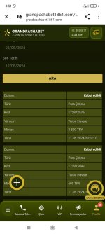 Screenshot_2024-06-12-00-51-01-402_com.android.chrome.jpg