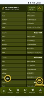 Screenshot_2024-06-13-17-20-24-16_40deb401b9ffe8e1df2f1cc5ba480b12.jpg