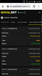 Screenshot_2024-06-16-16-40-04.png