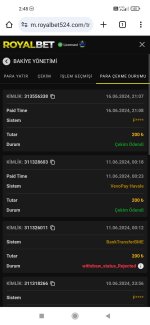 Screenshot_2024-06-17-02-48-11-819_com.android.chrome.jpg