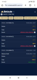 Screenshot_2024-06-18-17-16-31-789_com.android.chrome.jpg