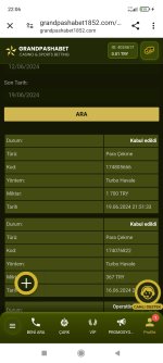 Screenshot_2024-06-19-22-06-01-397_com.android.chrome.jpg