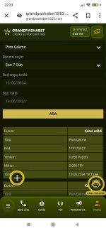 Screenshot_2024-06-19-22-33-11-967_com.android.chrome.jpg