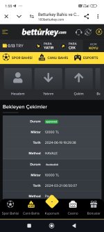 Screenshot_2024-06-20-01-55-00-679_com.android.chrome.jpg