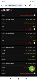 Screenshot_2024-06-20-23-35-57-221_com.android.chrome.jpg