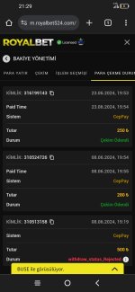 Screenshot_2024-06-23-21-29-38-525.jpg