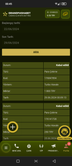 Screenshot_20240629-004546.png