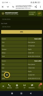 Screenshot_2024-06-30-22-17-47-770_com.android.chrome.jpg