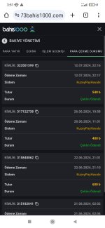 Screenshot_2024-07-13-03-51-23-180_com.android.chrome.jpg