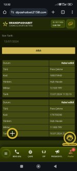 Screenshot_2024-07-13-12-32-31-718_com.android.chrome.jpg