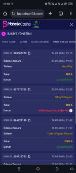 Screenshot_20240724-213011.jpg