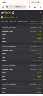 Screenshot_2024-07-25-14-08-23-740_com.android.chrome.jpg