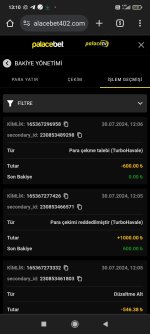 Screenshot_2024-07-30-13-10-08-054_com.android.chrome.jpg