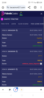 Screenshot_20240730-230057.png
