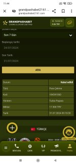 Screenshot_2024-07-31-11-44-06-531_com.android.chrome.jpg