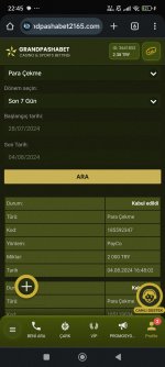 Screenshot_2024-08-04-22-45-20-241_com.android.chrome.jpg