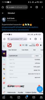 Screenshot_2024-08-08-07-17-33-380_com.android.chrome.jpg