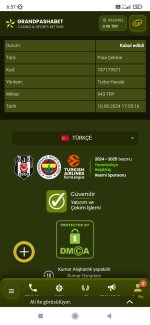 Screenshot_2024-08-11-06-57-41-247_com.android.chrome.jpg