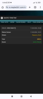 Screenshot_2024-08-12-13-06-17-368_com.android.chrome.jpg