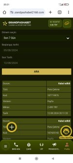 Screenshot_2024-08-12-20-21-20-575_com.android.chrome.jpg