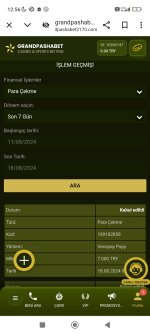 Screenshot_2024-08-18-12-56-14-081_com.android.chrome.jpg