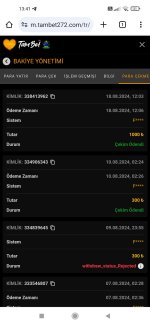 Screenshot_2024-08-18-13-41-20-683_com.android.chrome.jpg