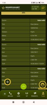 Screenshot_2024-08-20-07-33-48-513_com.android.chrome.jpg