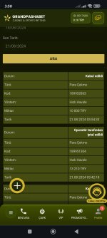 Screenshot_2024-08-21-03-58-44-203_com.android.chrome.jpg