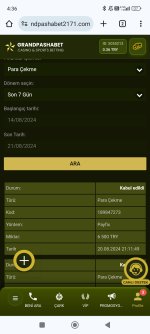 Screenshot_2024-08-21-04-36-43-903_com.android.chrome.jpg