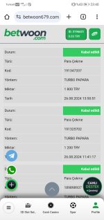 Screenshot_20240826_234058_com.android.chrome.jpg