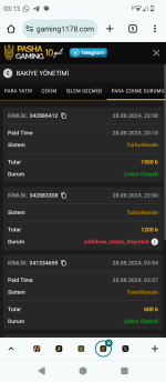 Screenshot_20240829-031359.png