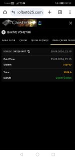 Screenshot_20240830_003359_com.android.chrome.jpg