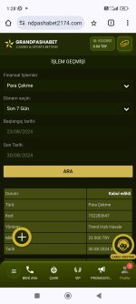 Screenshot_2024-08-30-01-28-02-597_com.android.chrome.jpg