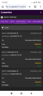 Screenshot_2024-08-31-13-18-06-544_com.android.chrome.jpg