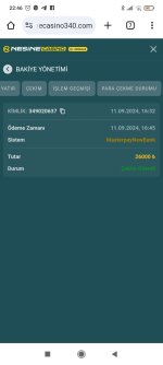 Screenshot_2024-09-11-22-46-10-502_com.android.chrome.jpg