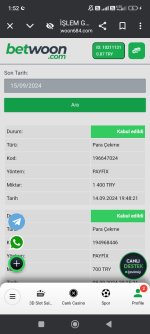 Screenshot_2024-09-15-01-52-30-970_com.android.chrome.jpg