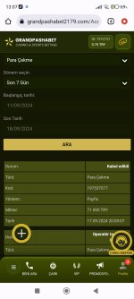 Screenshot_2024-09-18-13-07-53-255_com.android.chrome.jpg