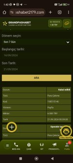 Screenshot_2024-09-21-01-42-02-120_com.android.chrome.jpg