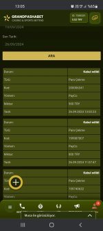 Screenshot_20240926-130545_Chrome.jpg